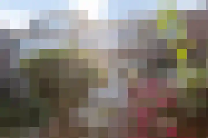 Freesiastraat 8 Rozenburg thumbnail 27