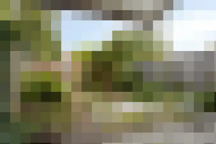 Freesiastraat 8 Rozenburg thumbnail 4