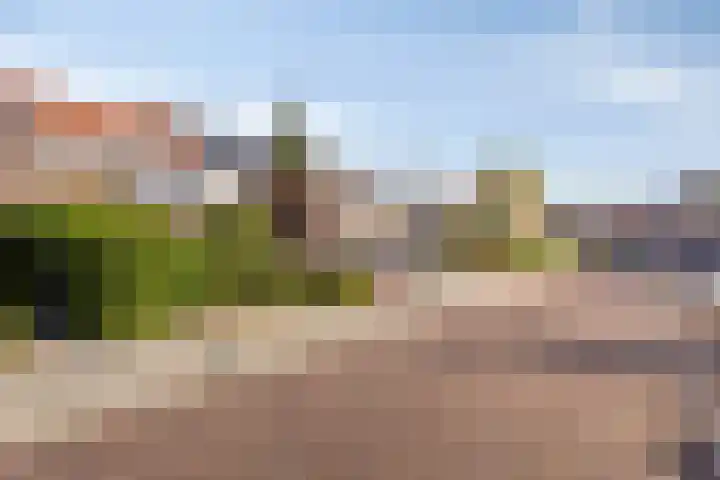 Freesiastraat 8 Rozenburg thumbnail 7