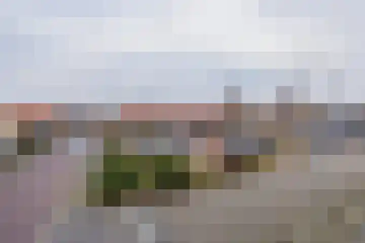 Freesiastraat 9 Rijnsburg thumbnail 23