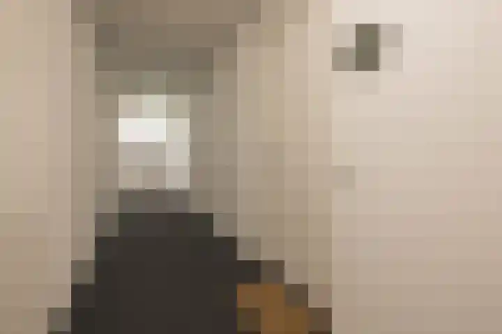 Freesiastraat 9 Rijnsburg thumbnail 25