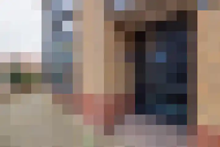 Freesiastraat 9 Rijnsburg thumbnail 5