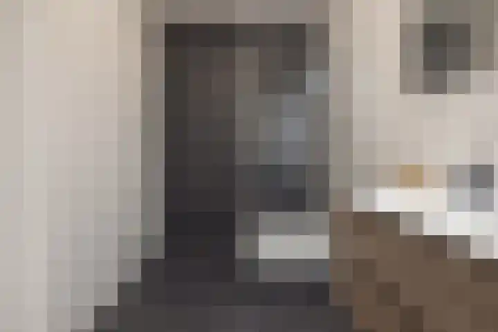 Freesiastraat 9 Rijnsburg thumbnail 8