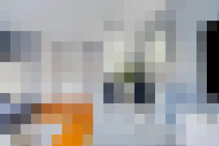 Fregat 10 Oud-Beijerland thumbnail 10
