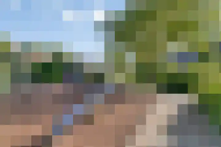 Fregat 10 Oud-Beijerland thumbnail 24