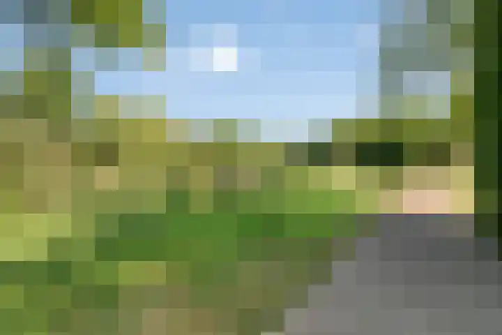 Fregat 10 Oud-Beijerland thumbnail 25
