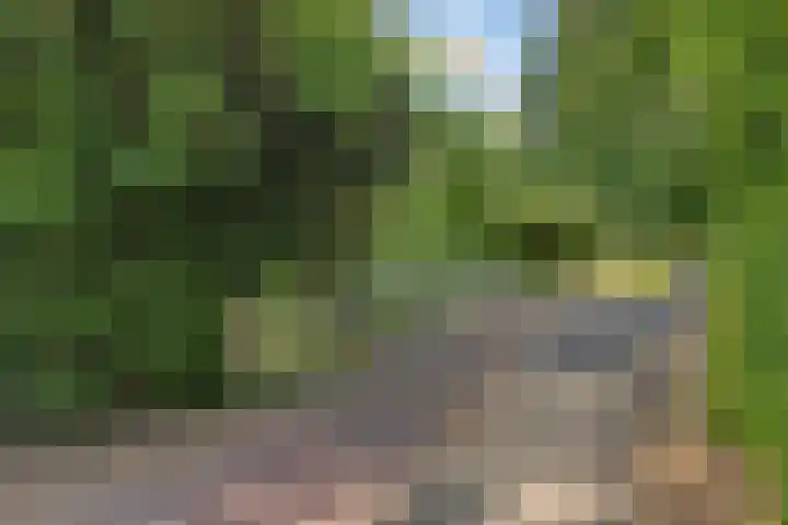 Fregat 10 Oud-Beijerland thumbnail 26