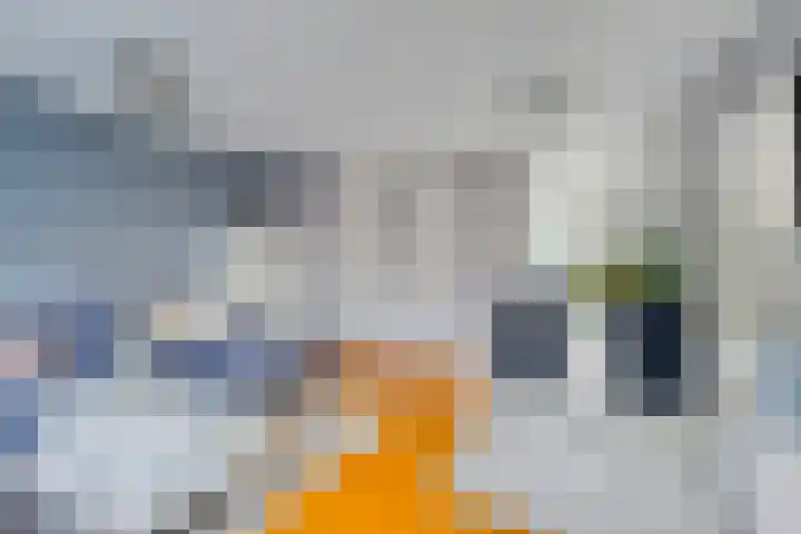 Fregat 10 Oud-Beijerland thumbnail 9