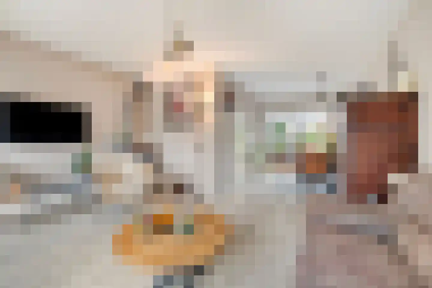 Fregat 11 Wieringerwerf thumbnail 12