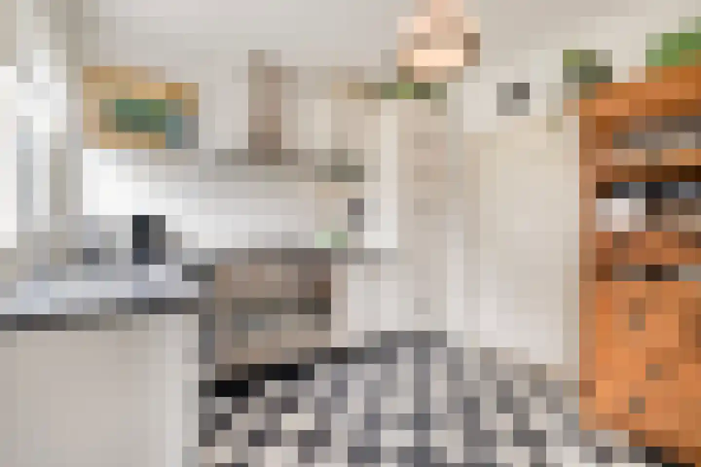 Fregat 11 Wieringerwerf thumbnail 16