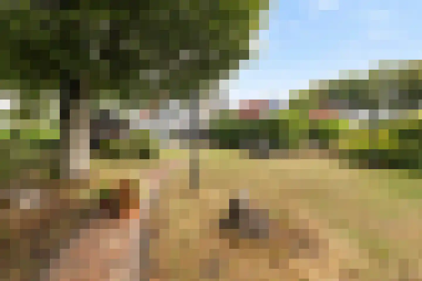 Fregat 11 Wieringerwerf thumbnail 33