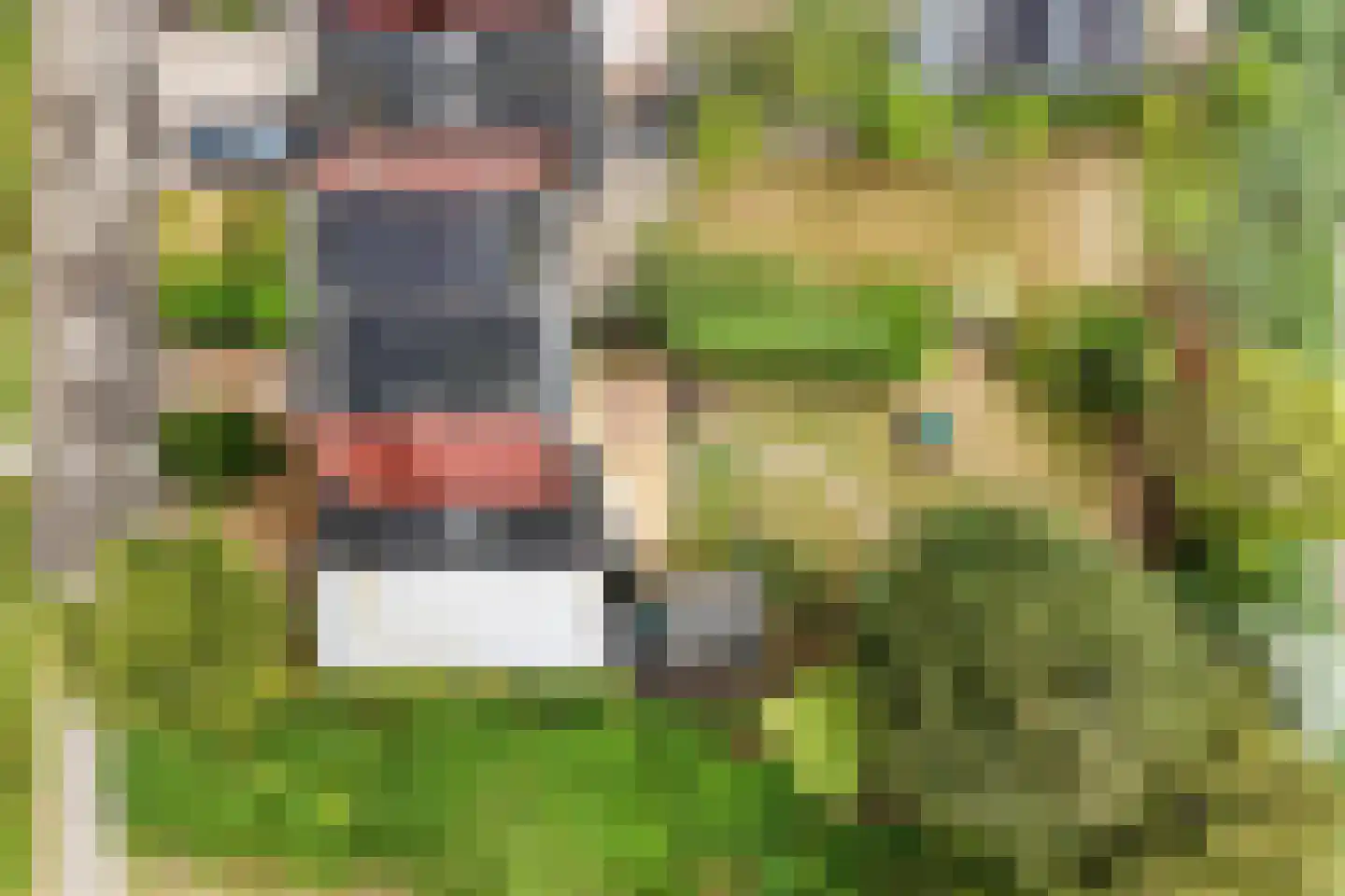 Fregat 11 Wieringerwerf thumbnail 34