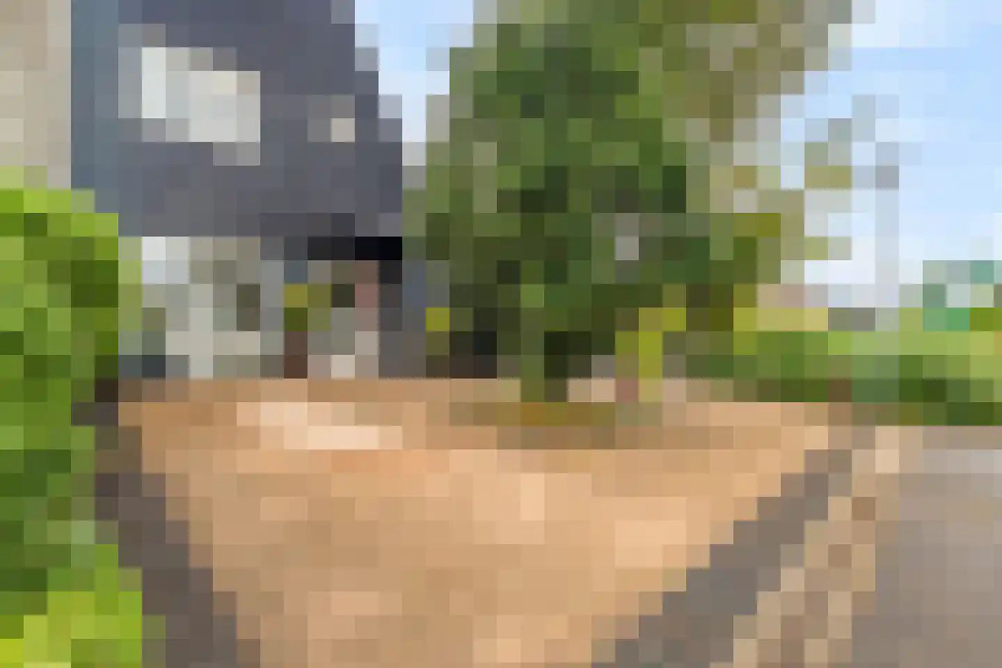 Fregat 11 Wieringerwerf thumbnail 5