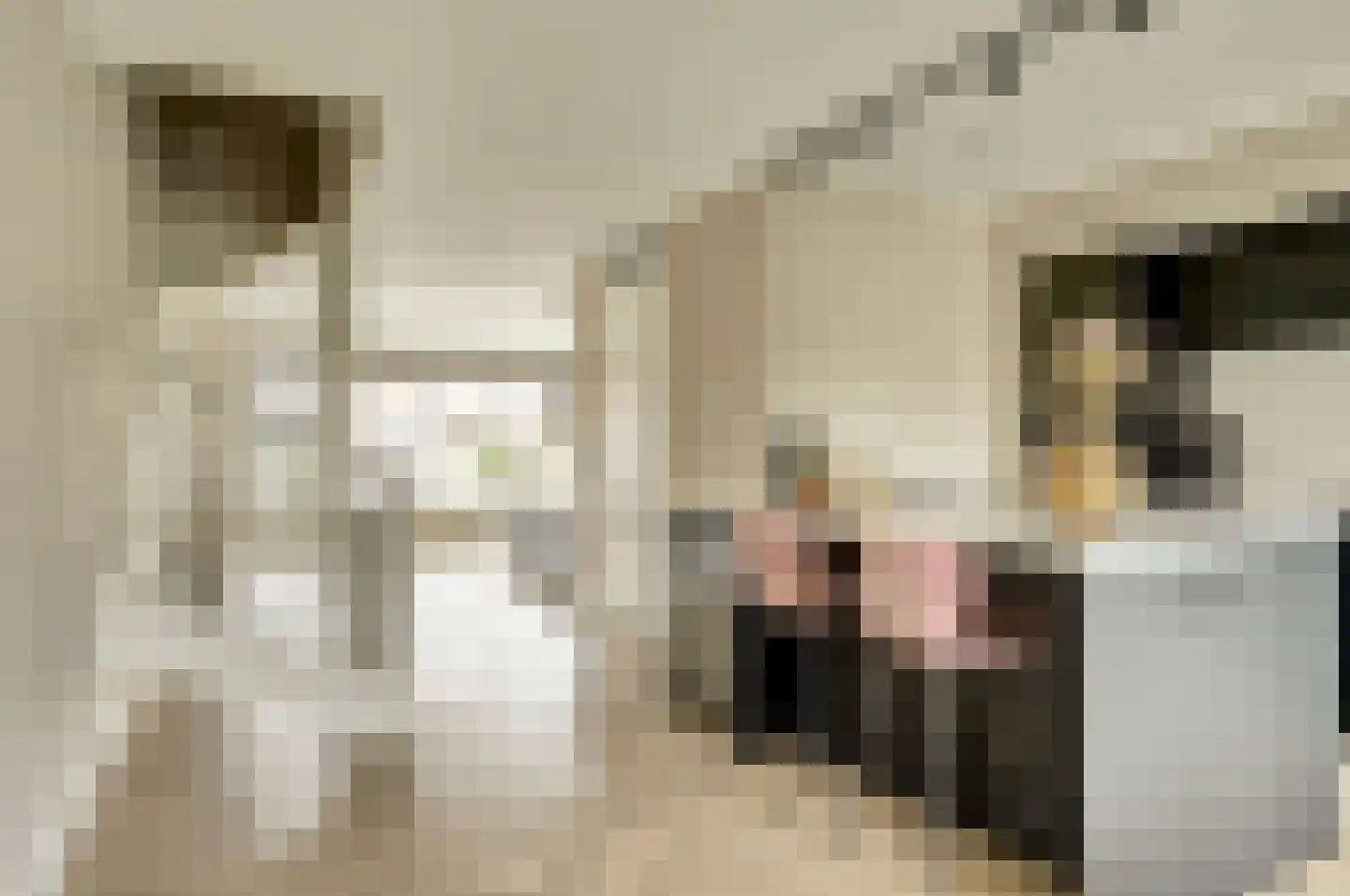 Fregat 13 Enkhuizen thumbnail 8