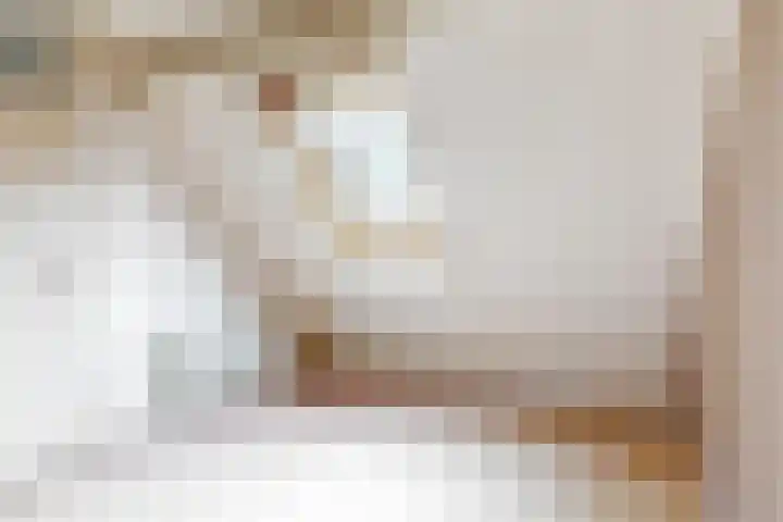 Fregat 16 Uithoorn thumbnail 11