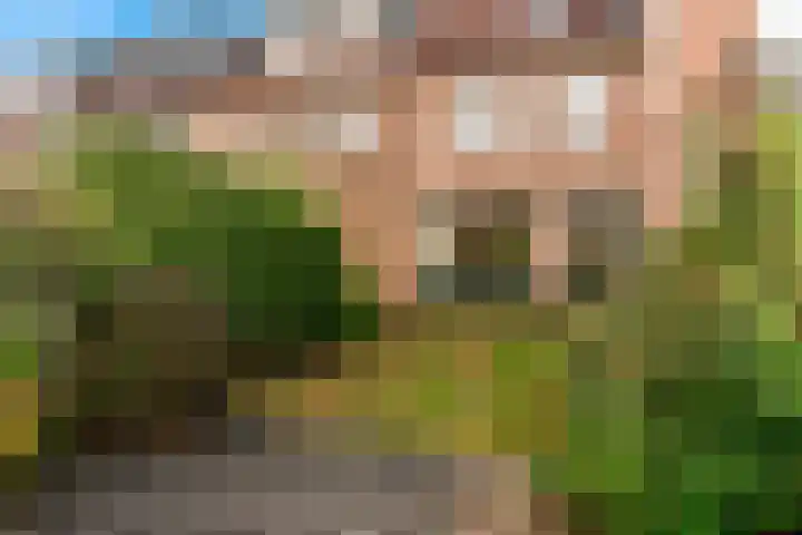 Fregat 16 Uithoorn thumbnail 18