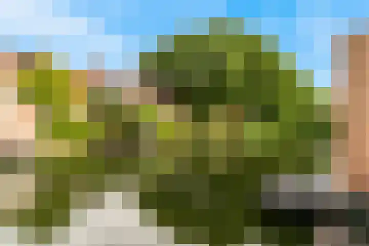 Fregat 16 Uithoorn thumbnail 20