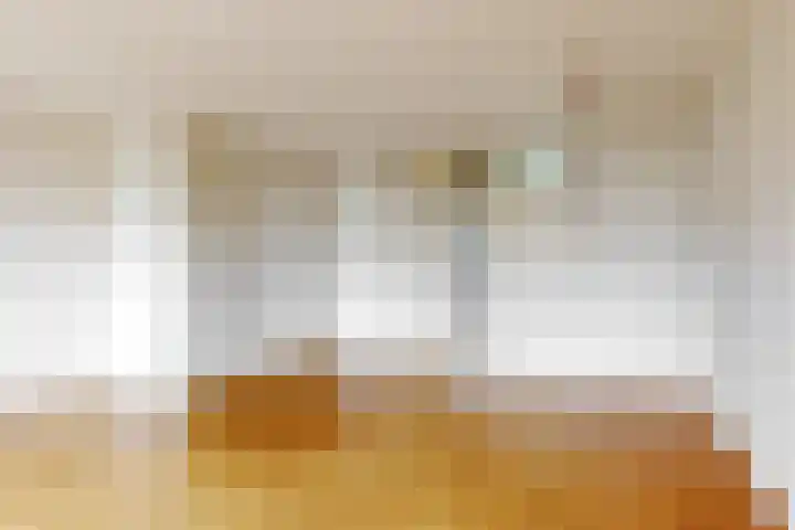 Fregat 16 Uithoorn thumbnail 4