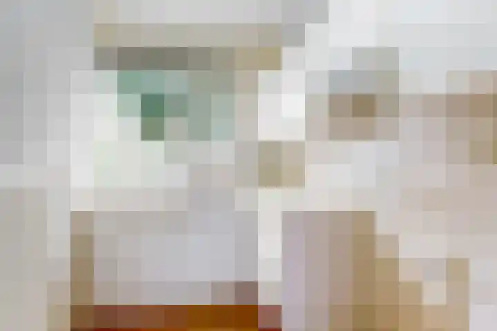 Fregat 16 Uithoorn thumbnail 5