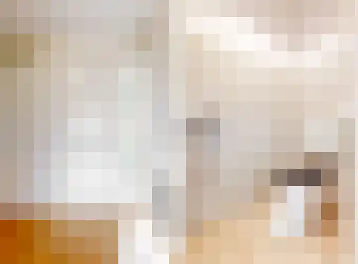 Fregat 16 Uithoorn thumbnail 6