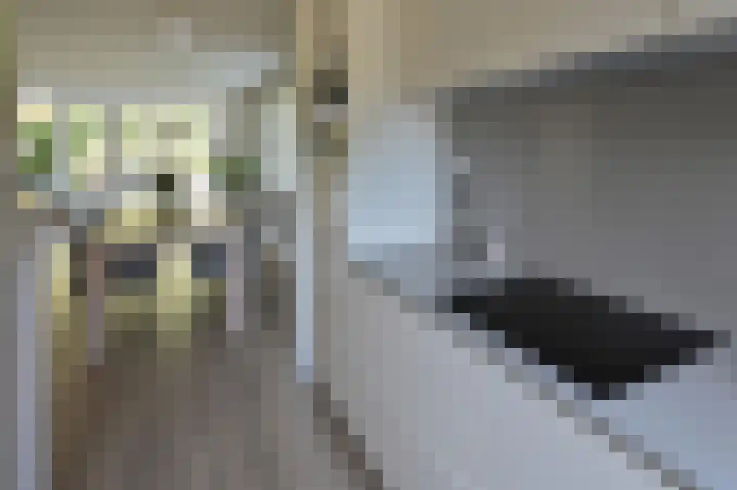 Fregat 2 Uithoorn thumbnail 11