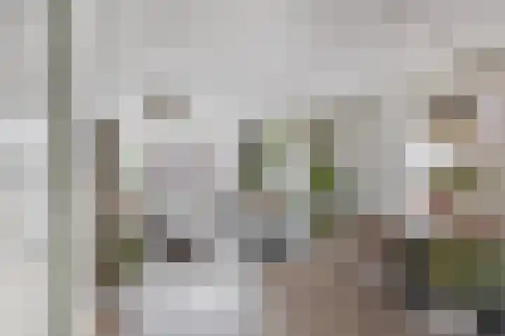 Fregat 26 Brielle thumbnail 12