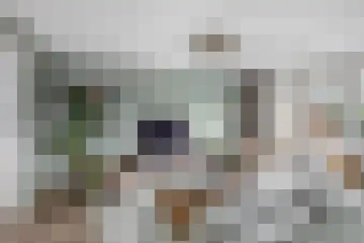Fregat 26 Brielle thumbnail 13