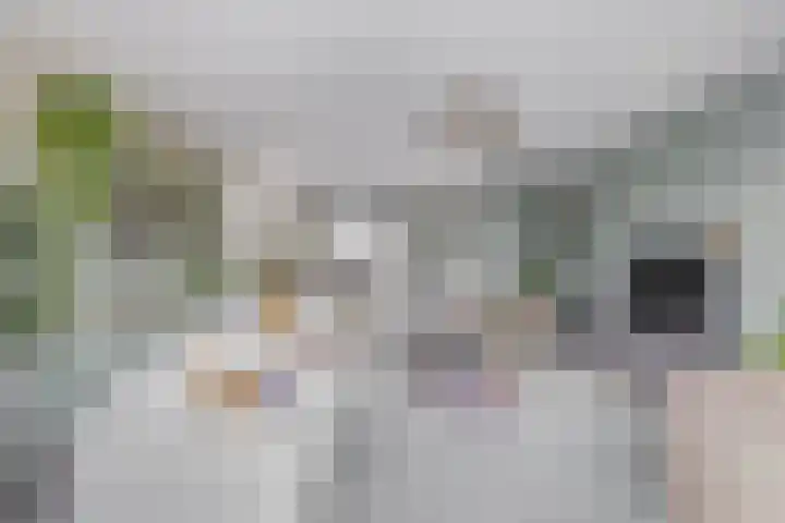 Fregat 26 Brielle thumbnail 14