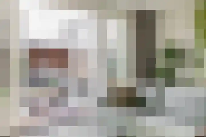 Fregat 26 Brielle thumbnail 15