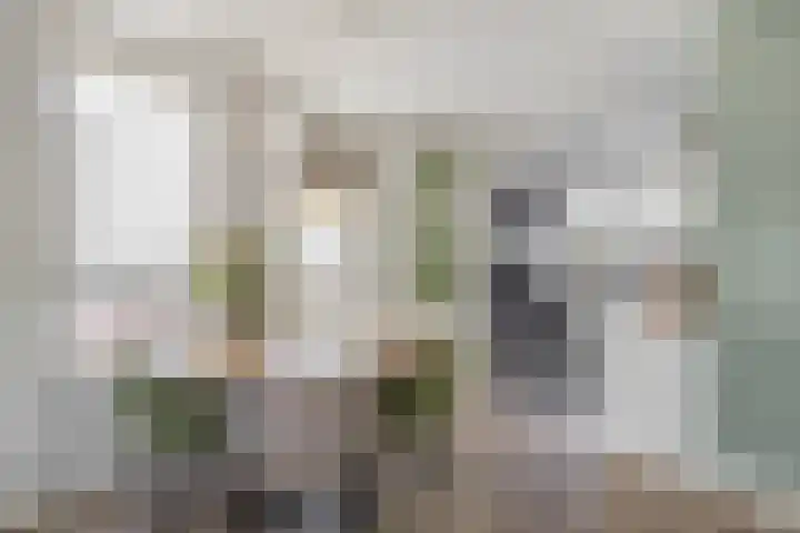 Fregat 26 Brielle thumbnail 17