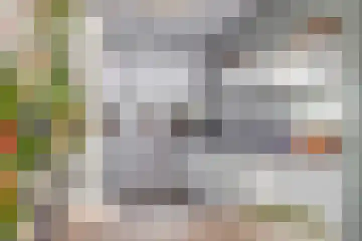 Fregat 26 Brielle thumbnail 18