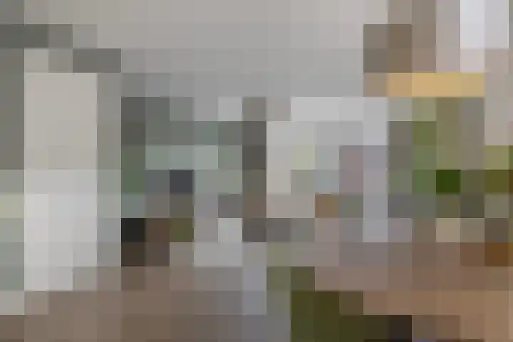 Fregat 26 Brielle thumbnail 19