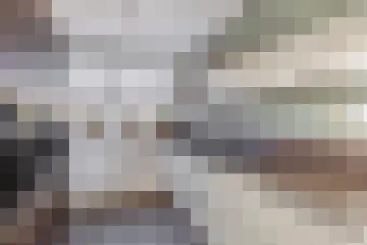 Fregat 26 Brielle thumbnail 20