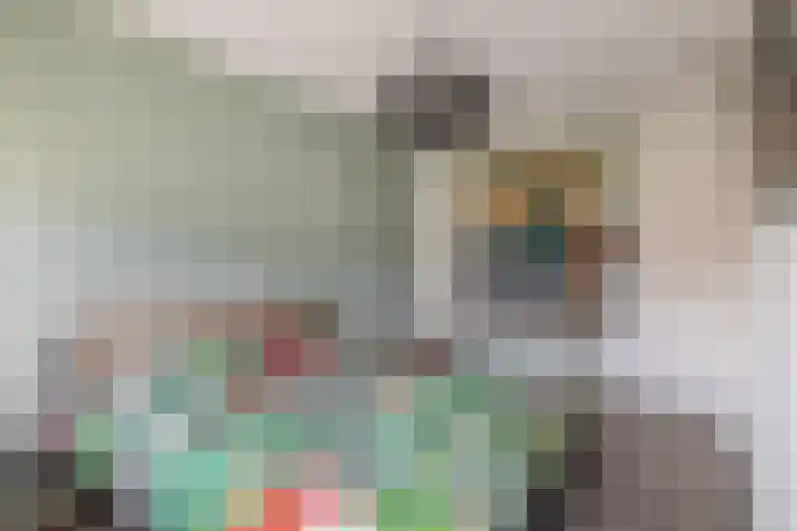 Fregat 26 Brielle thumbnail 25