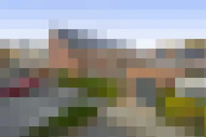 Fregat 26 Brielle thumbnail 36