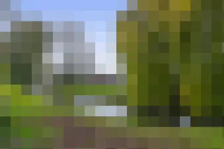 Fregat 26 Brielle thumbnail 37