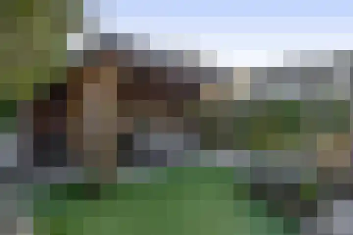 Fregat 26 Brielle thumbnail 39