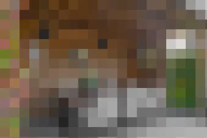 Fregat 26 Brielle thumbnail 40