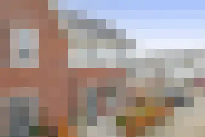 Fregat 26 Brielle thumbnail 8