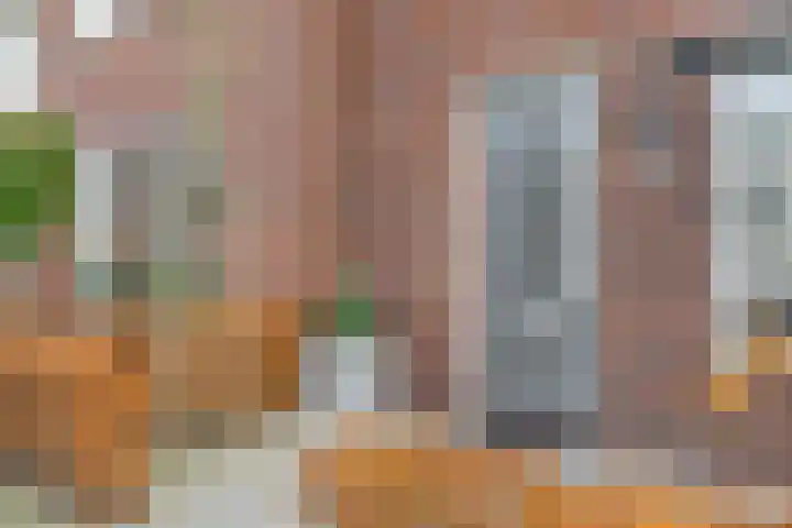 Fregat 26 Brielle thumbnail 9