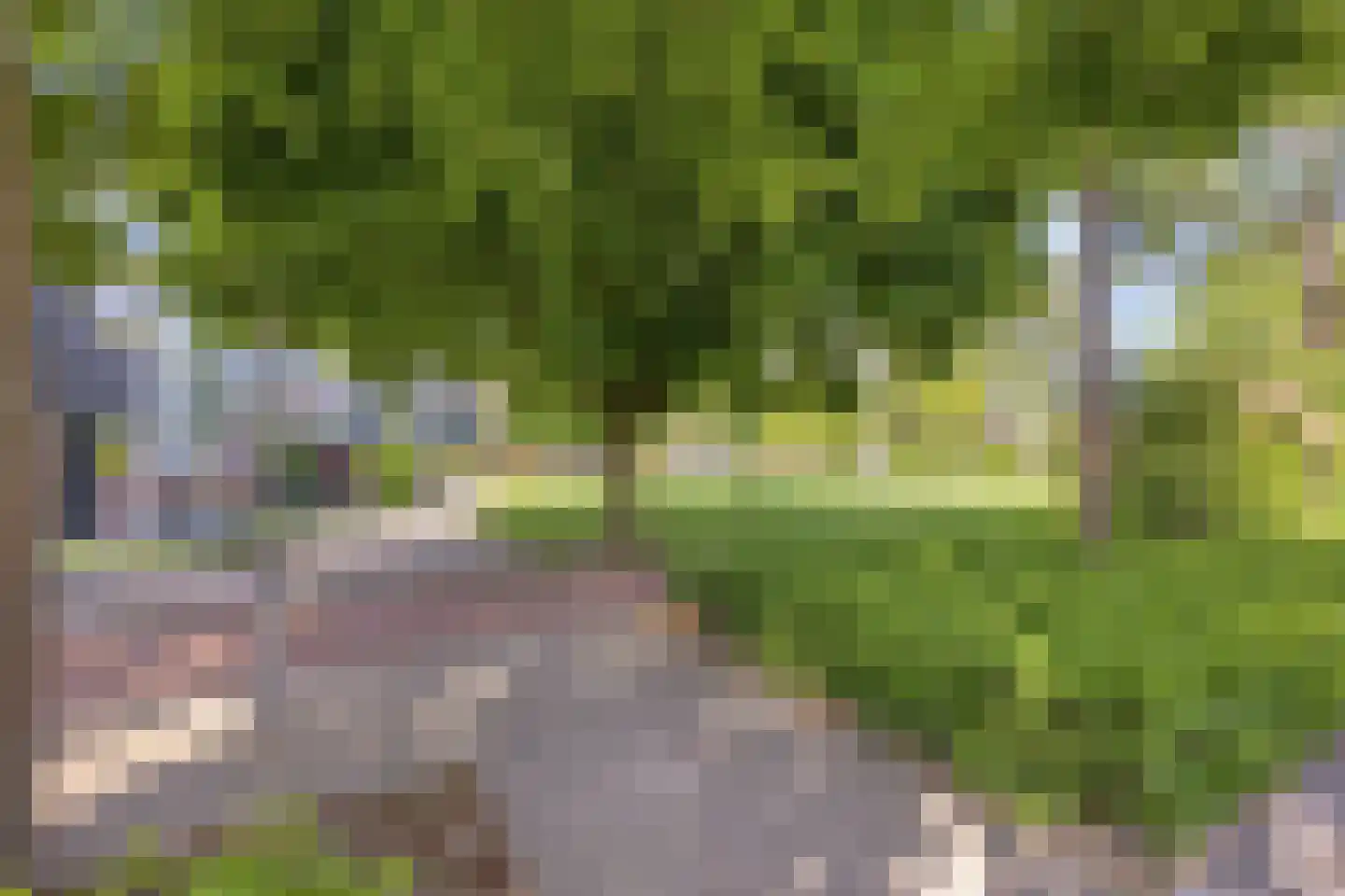 Fregat 26 Oud-Beijerland thumbnail 37