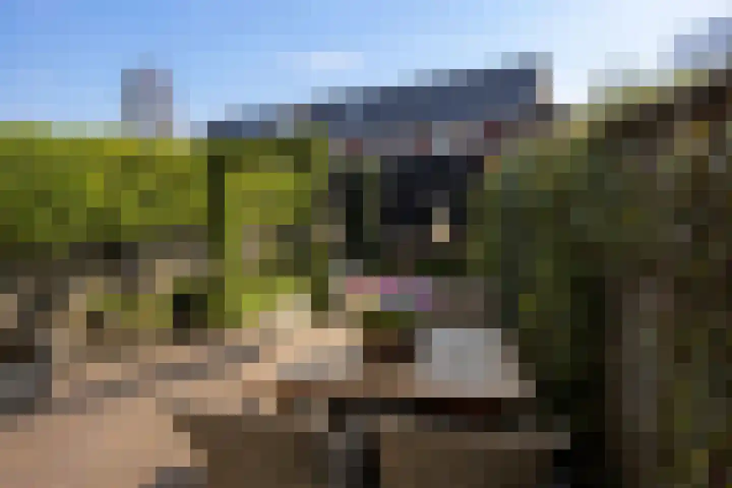 Fregat 28 Brielle thumbnail 26
