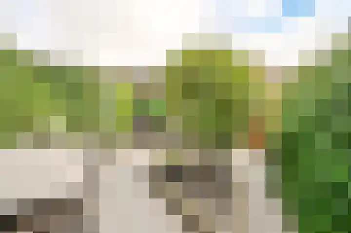 Fregat 3 Spijkenisse thumbnail 14