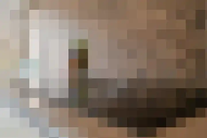 Fregat 3 Spijkenisse thumbnail 23