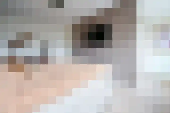 Fregat 3 Spijkenisse thumbnail 30