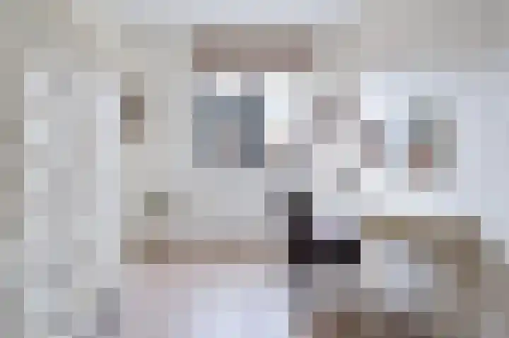 Fregat 3 Spijkenisse thumbnail 34
