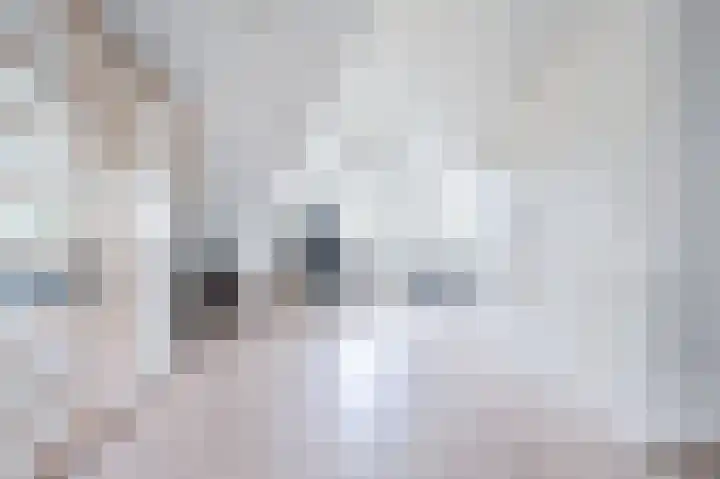 Fregat 3 Spijkenisse thumbnail 38