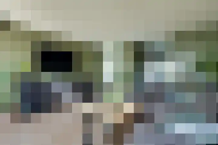 Fregat 3 Wieringerwerf thumbnail 16