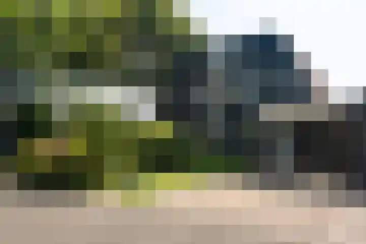 Fregat 3 Wieringerwerf foto 2