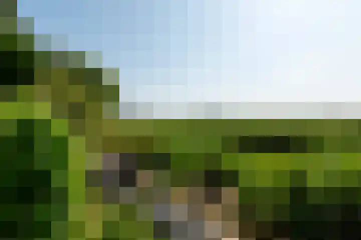 Fregat 3 Wieringerwerf thumbnail 5